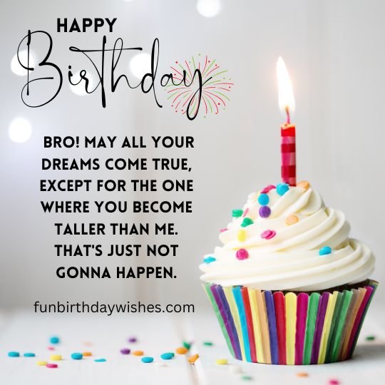 happy birthday big brother funny quotes