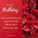 Happy Birthday Images With Roses