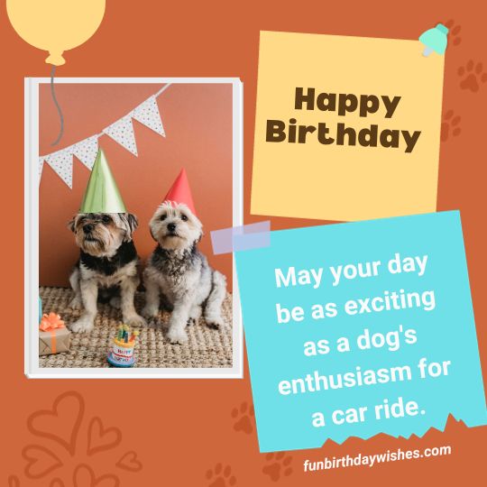 Birthday Images With Dogs